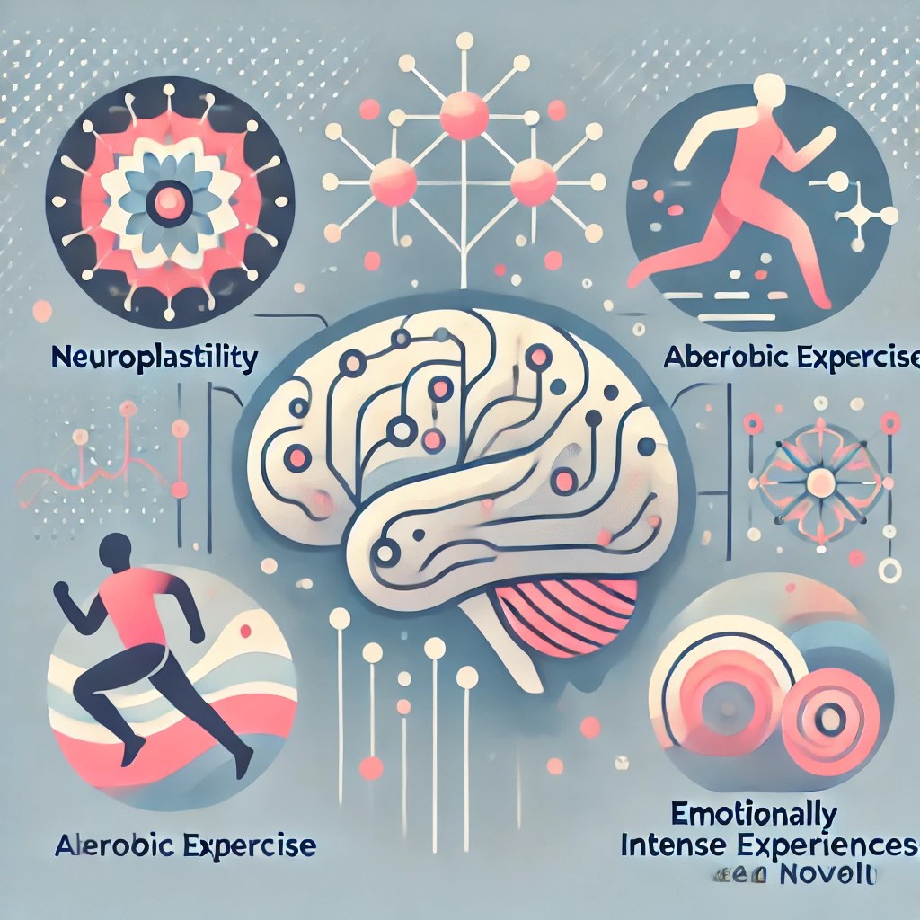 Neuroplasticitet och Ledarskap: Nyckeln till att tänka om och tänka&nbsp;nytt